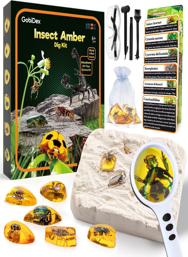 GobiDex Amber Dig Kit-Artificial Insect Resin, Excavate 6 Insects Specimens, STEM Geographic Educational Bugs Toys, Excavation Toys for Fun Bugs Party Favors, Science Kits for Kids Age 6-8 8-12 - Image 1
